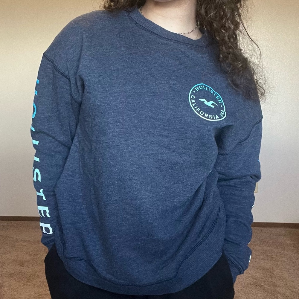 Hollister Crewneck Crewneck Sweater